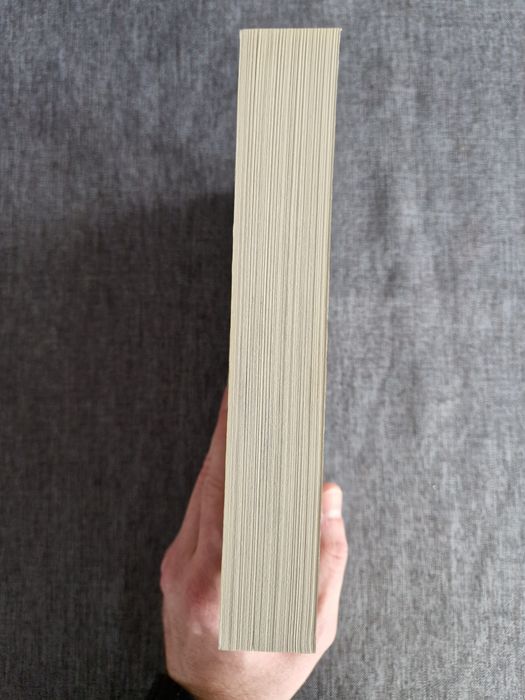 Dary Anioła. Miasto Popiołów