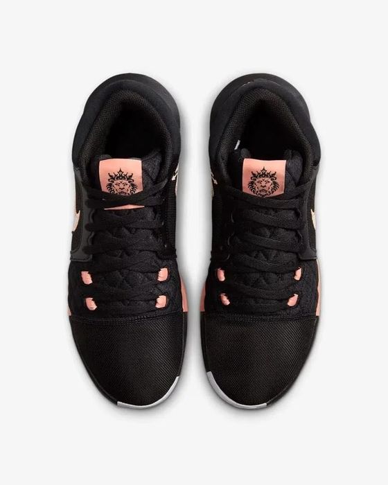 Кросівки Nike Air Jordan LeBron Witness VIII(40р по 49.5р)(HQ2139-001)