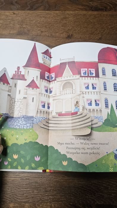 Barry Timms Gdzie mieszka szczęście ksiazka z okienkami