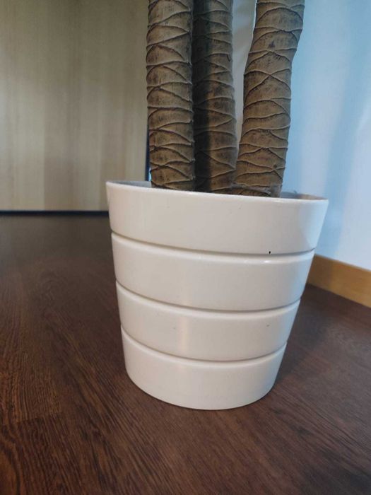 Plantas decorativas + Vaso I +/- 190CM I 2UND