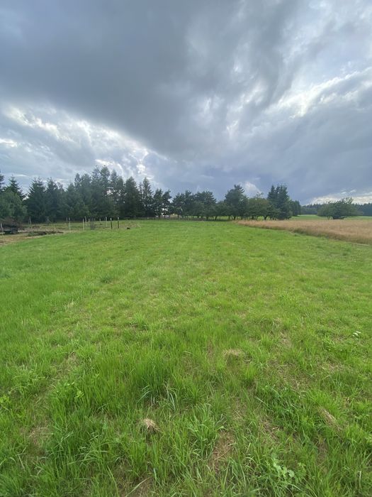 Dzialka budowlana/góry/mpzp/duszniki zdrój