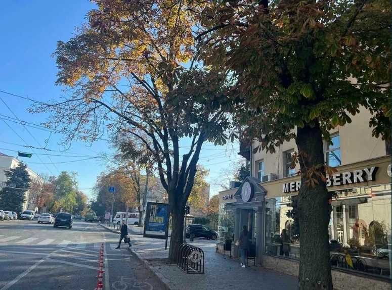 Магазин на Бунина • Фасад • Исторический центр