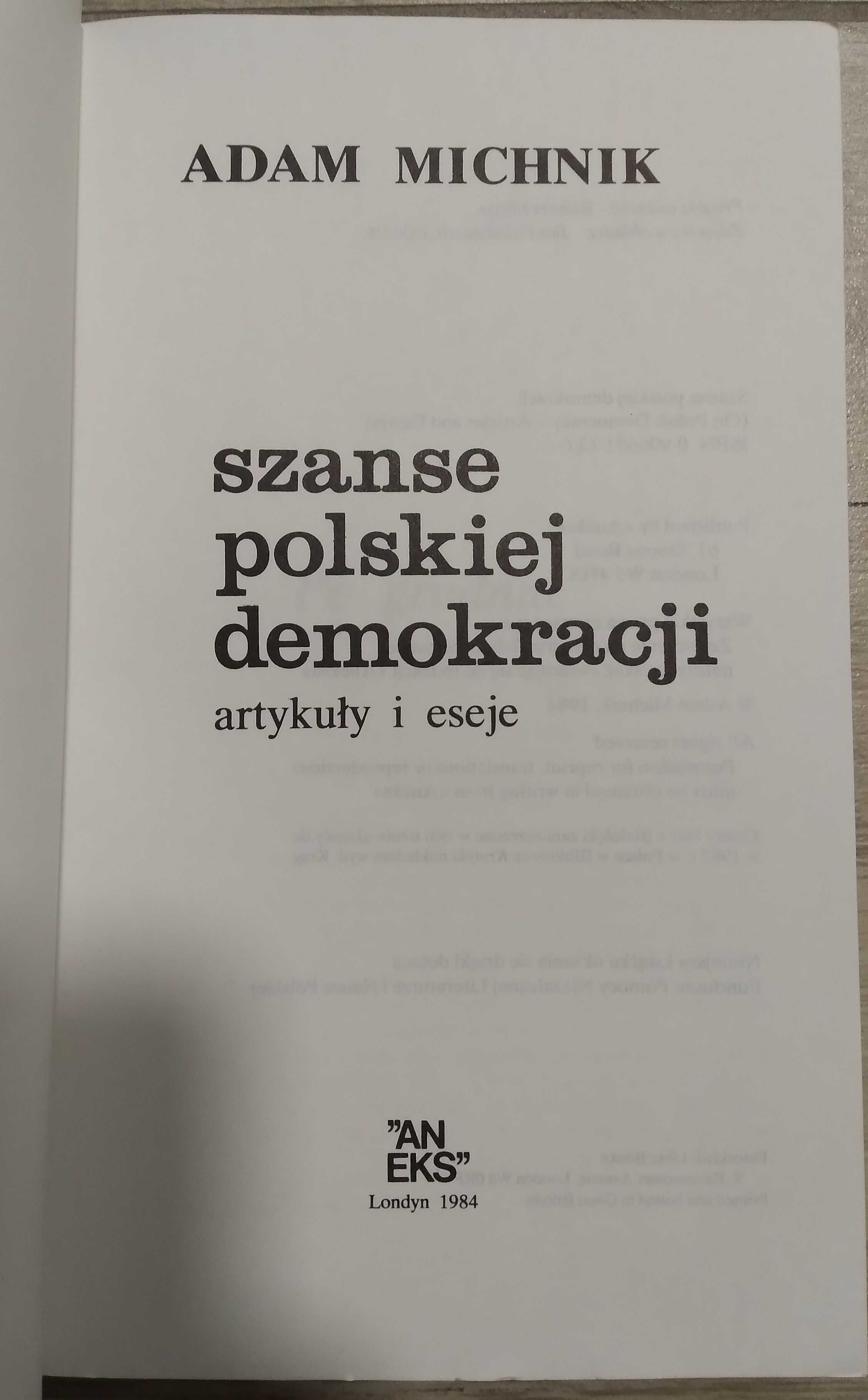 Adam Michnik. Szanse polskiej demokracji