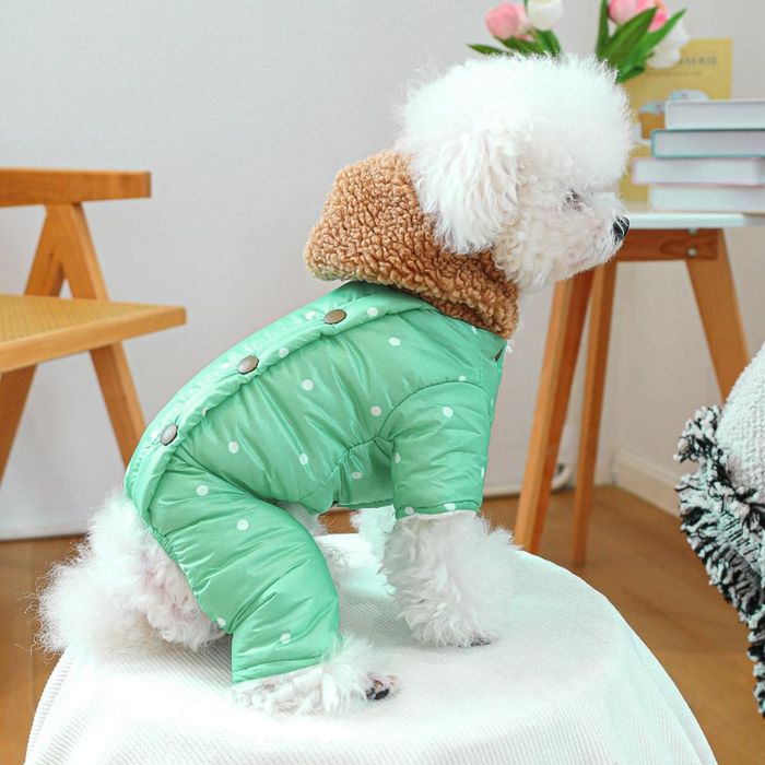 Комбінезон для собак