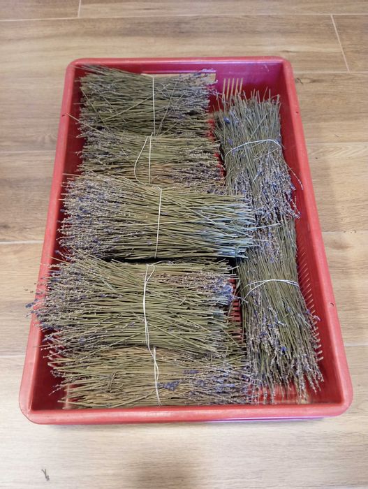 Snopki / sianko lawendowe do podkurzacza