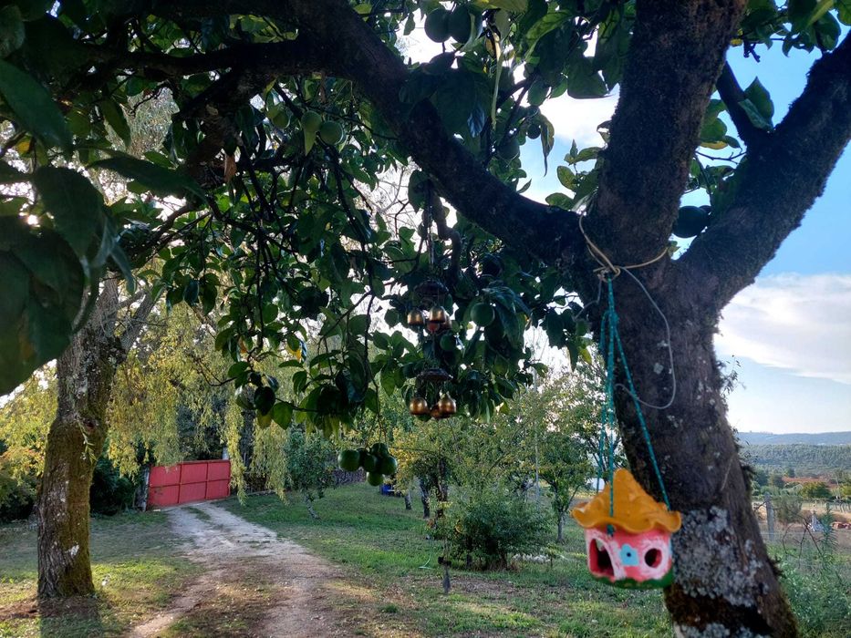 Quartos para arrendar próximo a Oliveira de frades e das cachoeiras