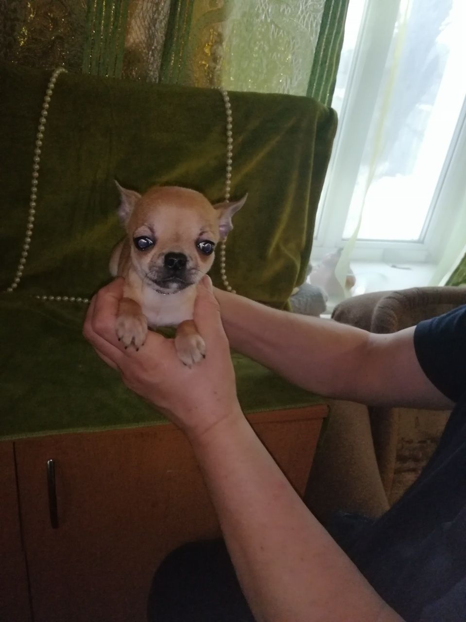 Мальчик экслюзив тип кобби
