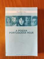 Gastão Cruz A Poesia Portuguesa Hoje