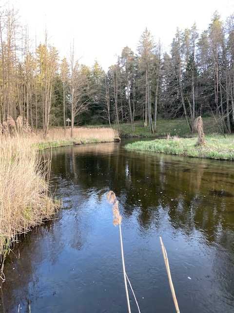 Sprzedam działkę nad Czarną Hańczą z linią brzegową