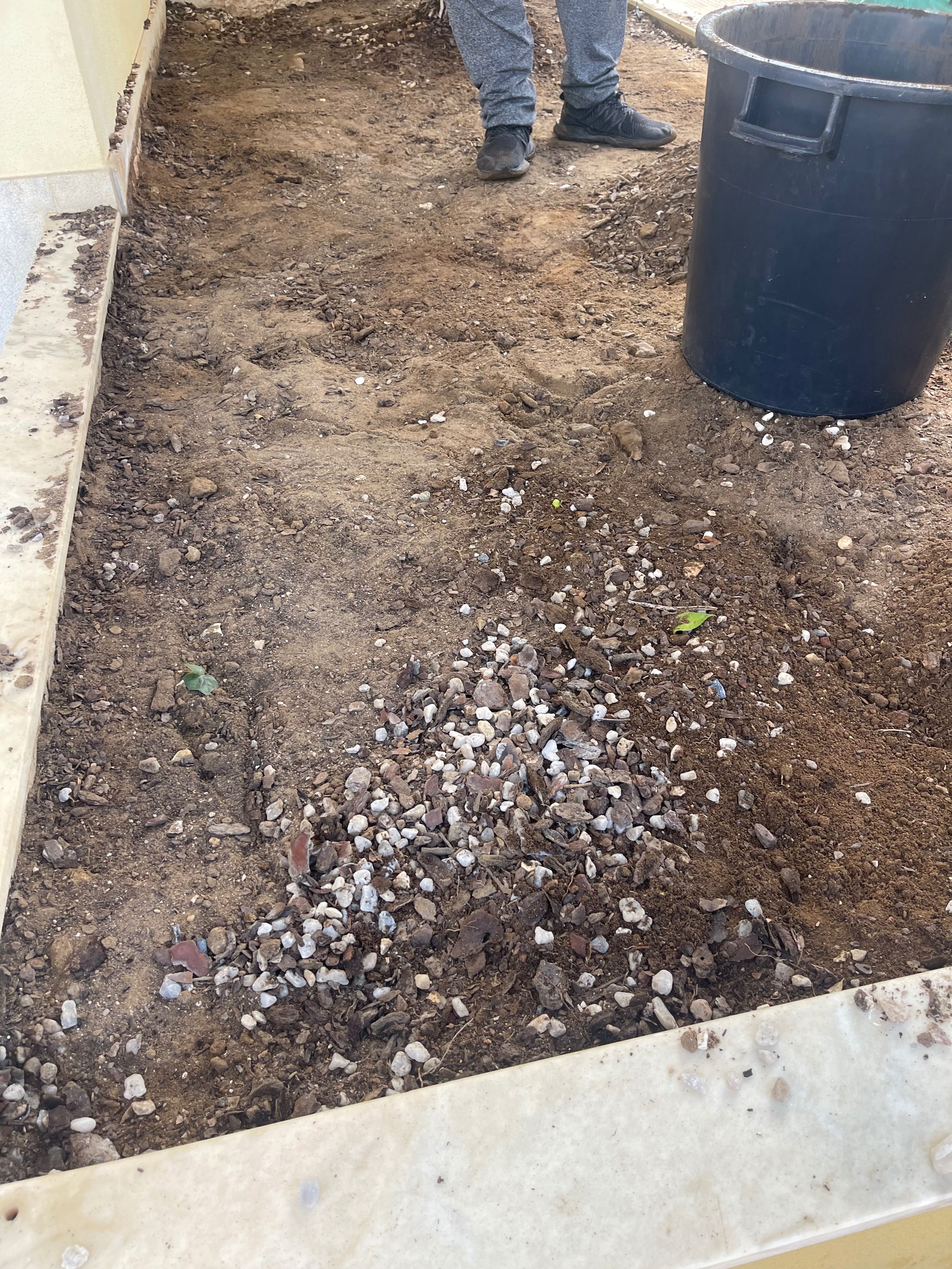 Jardim manutenção e construção