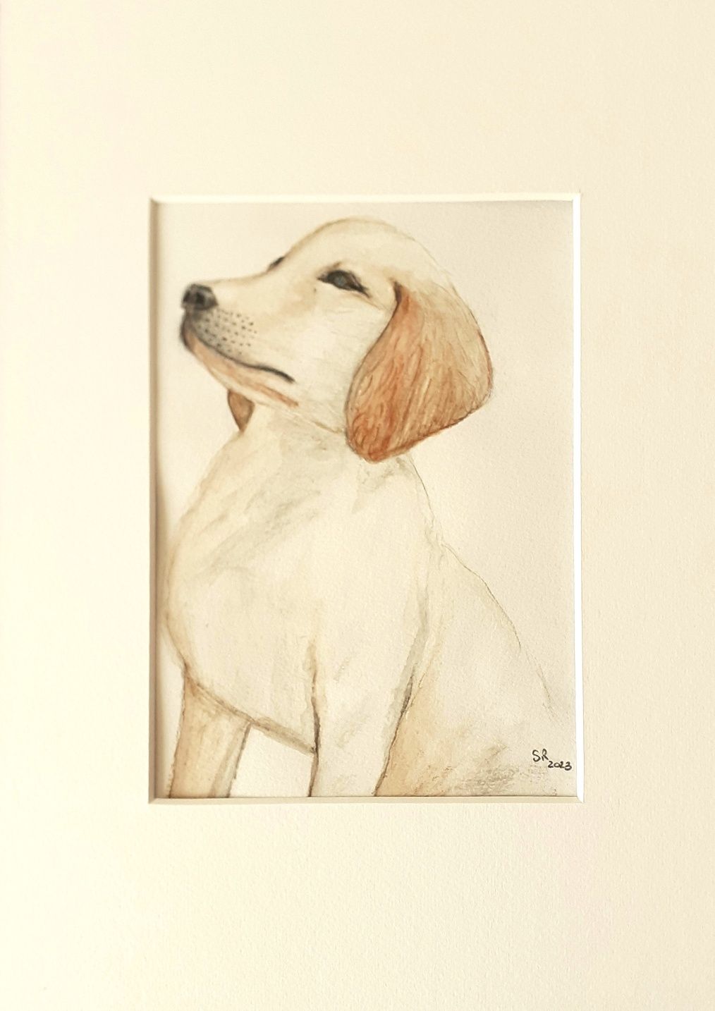 Quadro Aguarela cão Golden retriever puppy 30x35 cm
