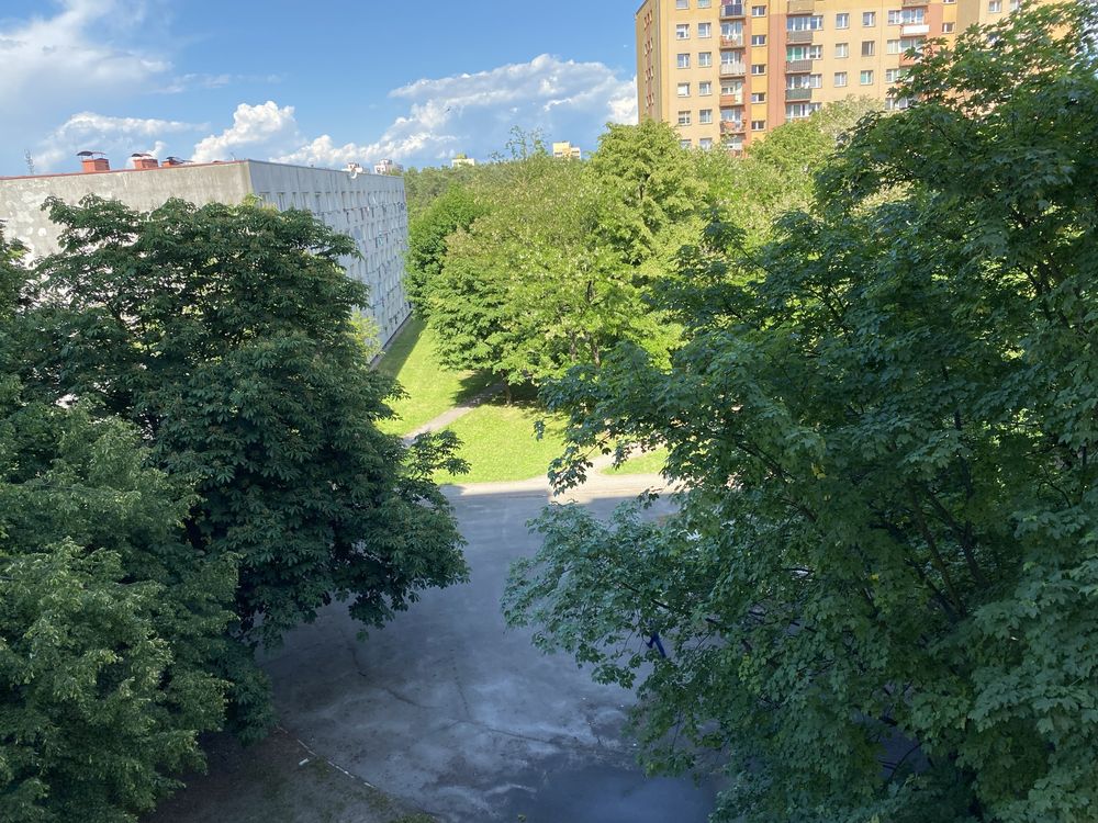 Super lokalizacja w centrum, rozkładowe, 3 pokoje, do remontu