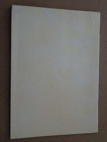 O Meu Irmão Sapato de João Rainho