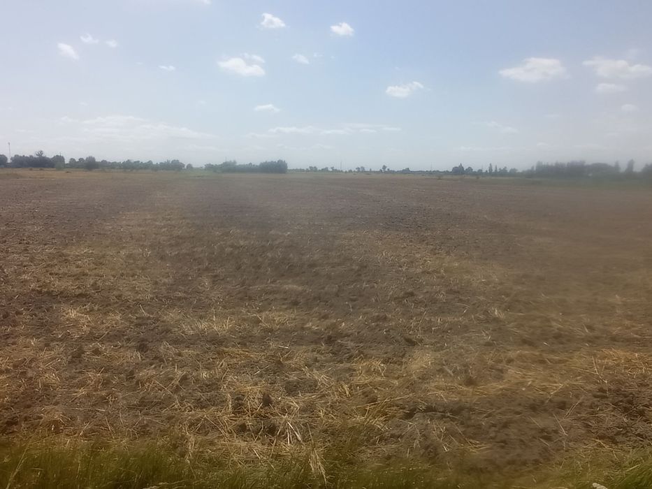 Продам участок под строительство с. Сеньковка