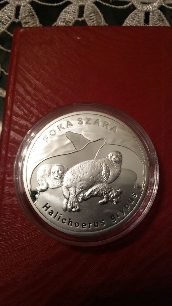 Moneta srebro 20 zł z 2007 roku- Foka Szara.