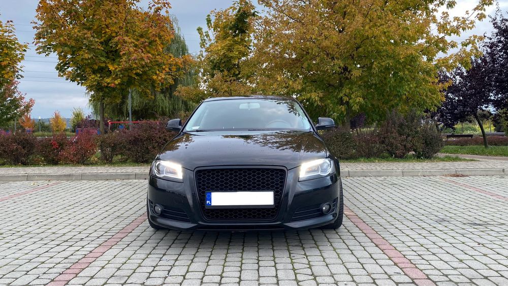 Audi A3 8P Lift 1.6 TDI