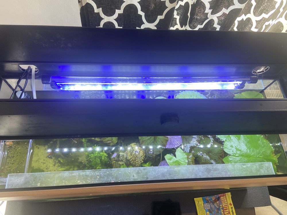 Sprzedam arwarium 120l