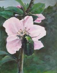 Obraz akryl  40x50 "Kruszczyca złotawka na kwiatku  jabłoni"