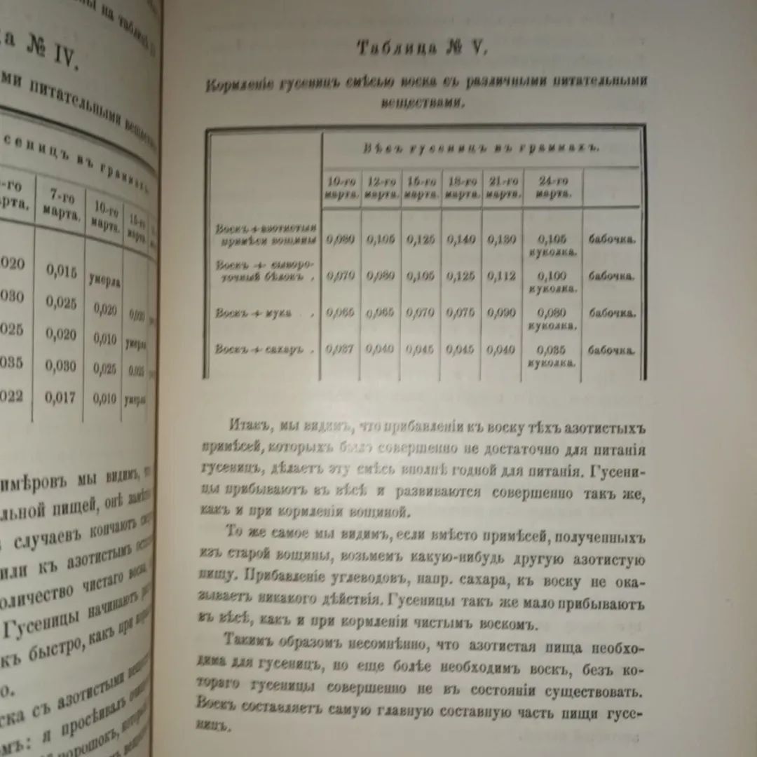 Экспериментальный исследования над пчелиной молью Метальников