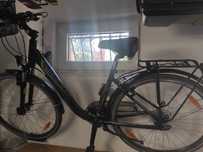 Giant argento 3 damski