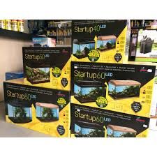 akwarium diversa startup 50 Led (50x25x30) komplet