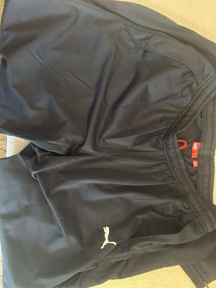Dres orginalny puma