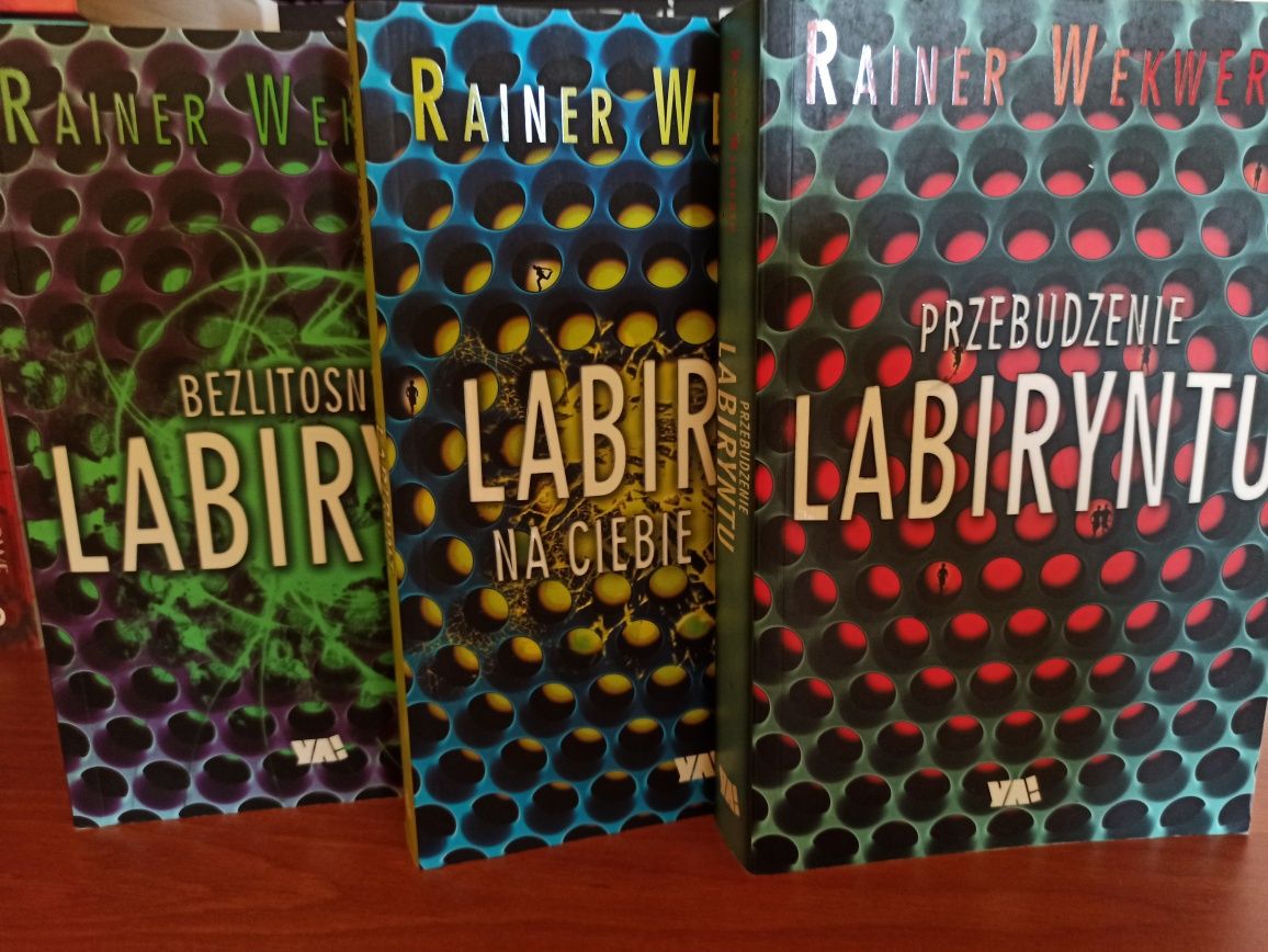 Przebudzenie labiryntu (trylogia Labirynt) Rainer Wekwerth