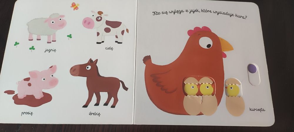 Książka "Pierwsze słowa młode zwierzęta"