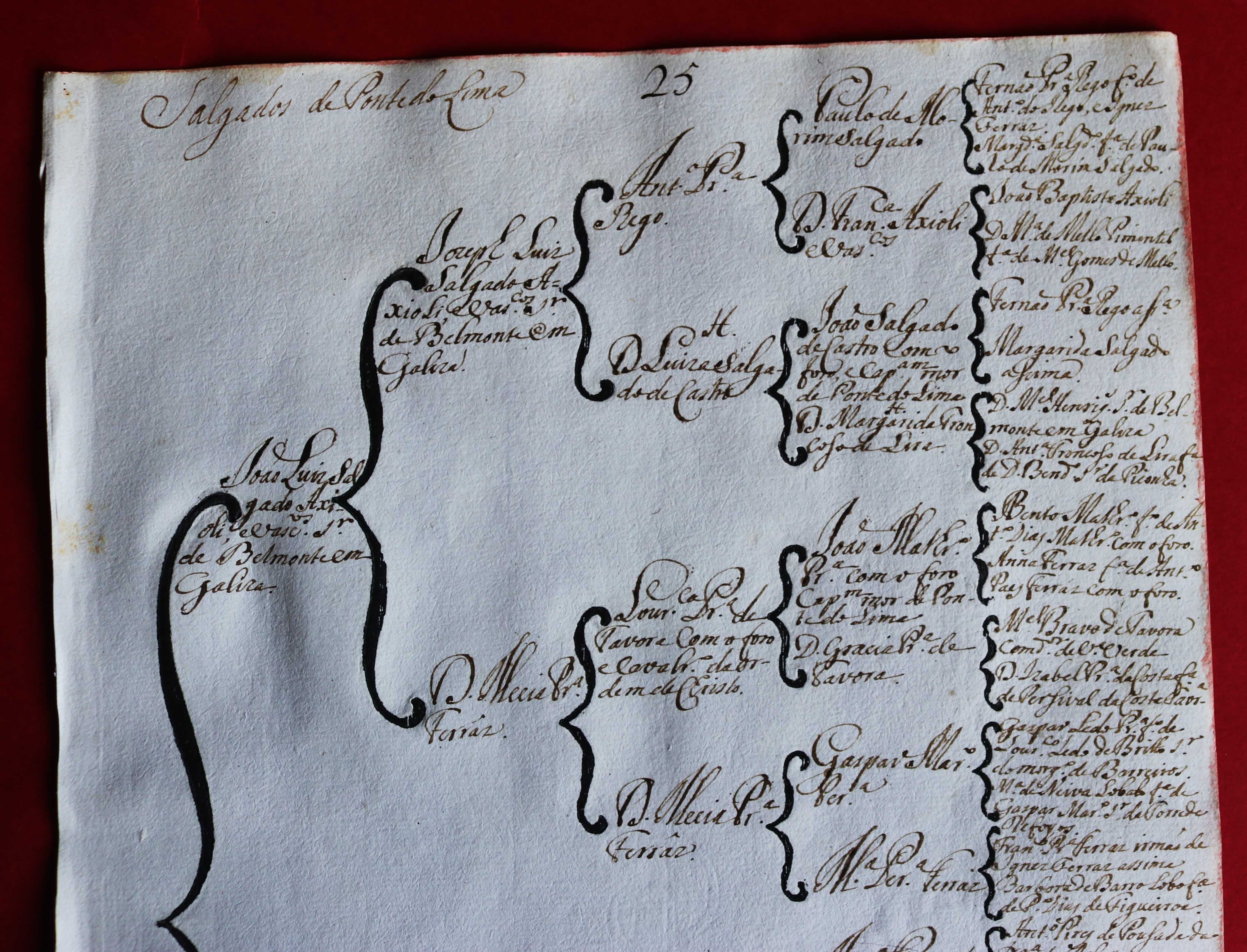 Os Salgados de Ponte de Lima, árvore de costados 1746