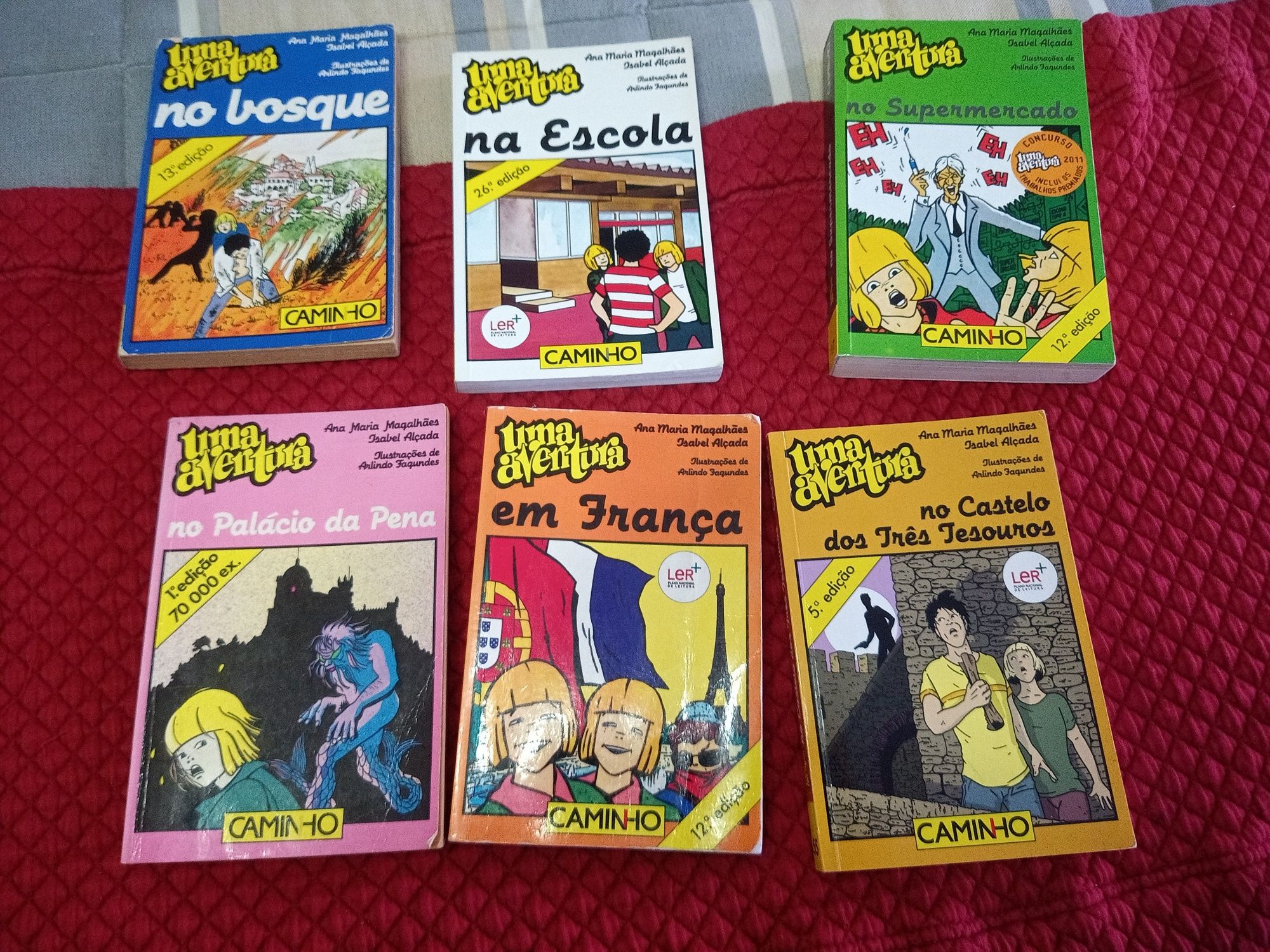 Livro Uma aventura na escola - n8