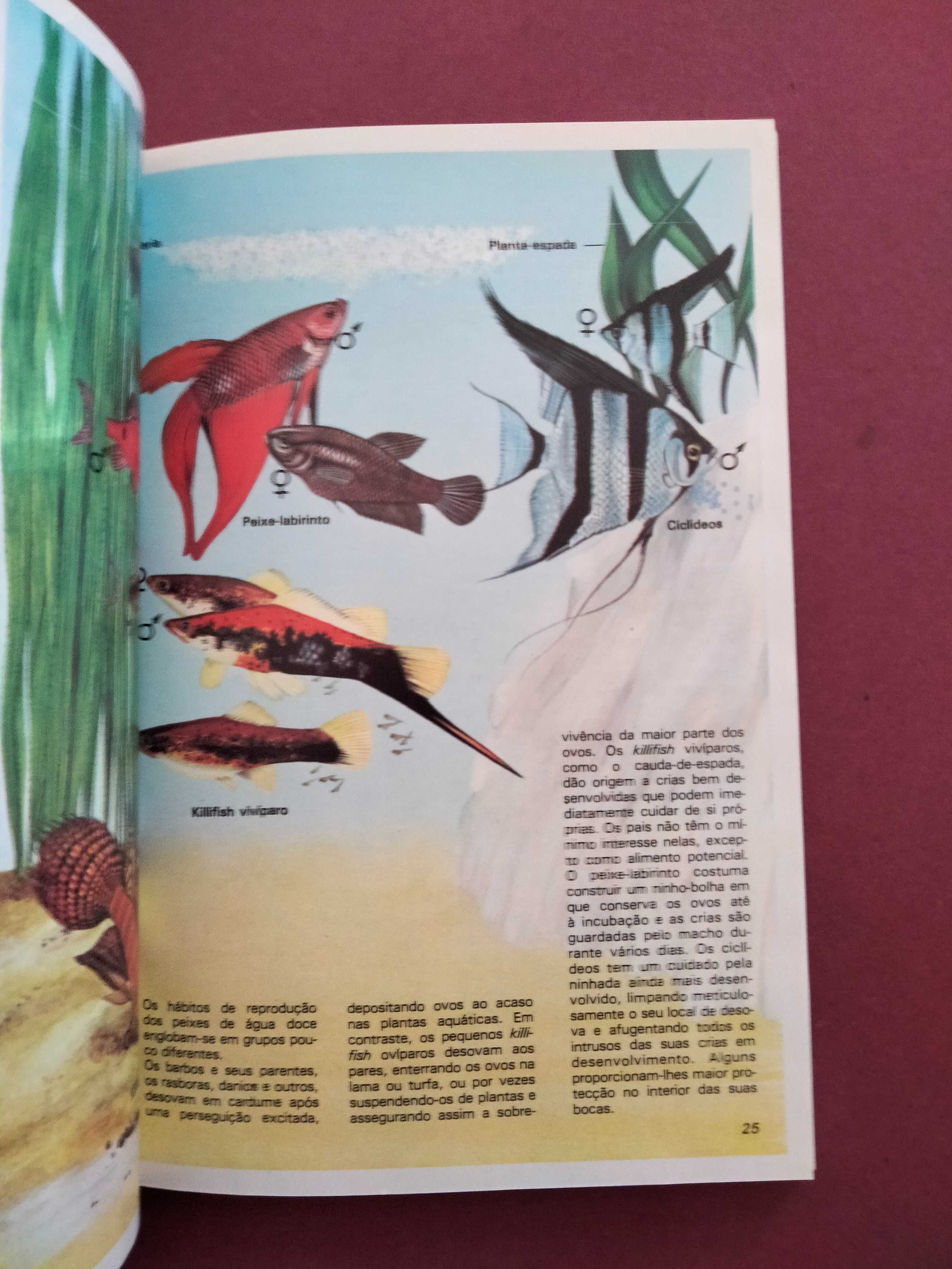 O Seu Aquário de Peixes Tropicais - Brian Ward
