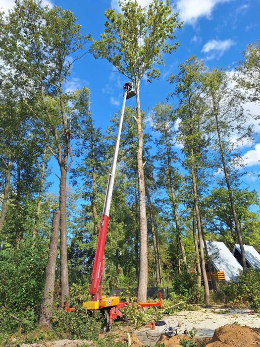 Wycinka Drzew  27m