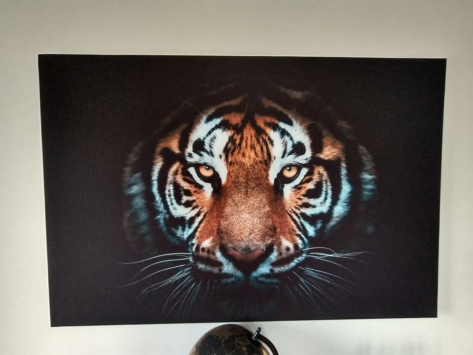 Obraz na płótnie canvas 120x80 cm