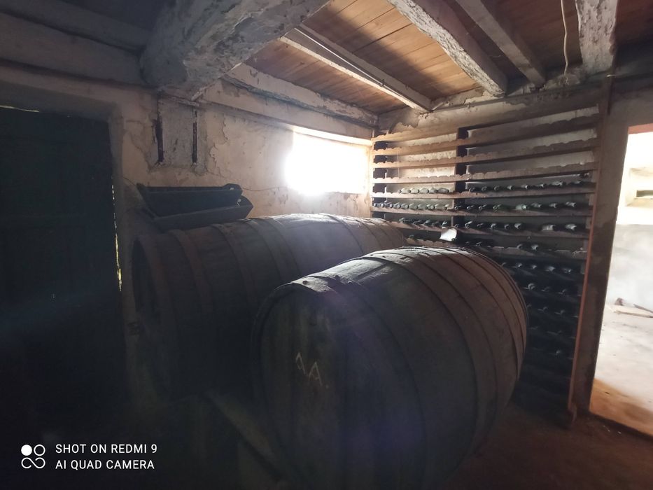 Pipos de vinho antigos