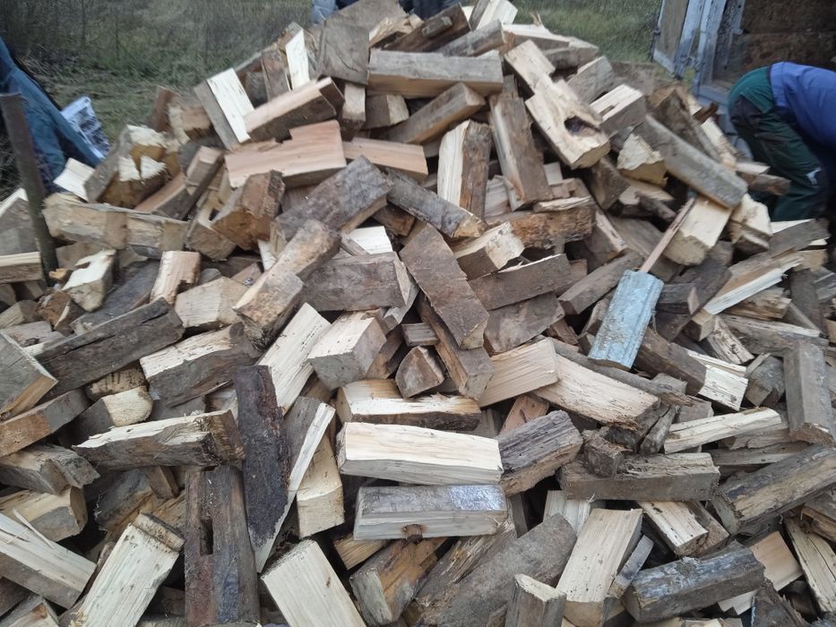 Дрова Колоті твердої породи
