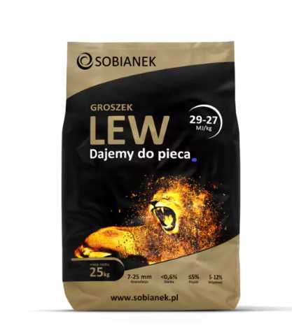 Groszek Sobianek Lew Dostawa HDS