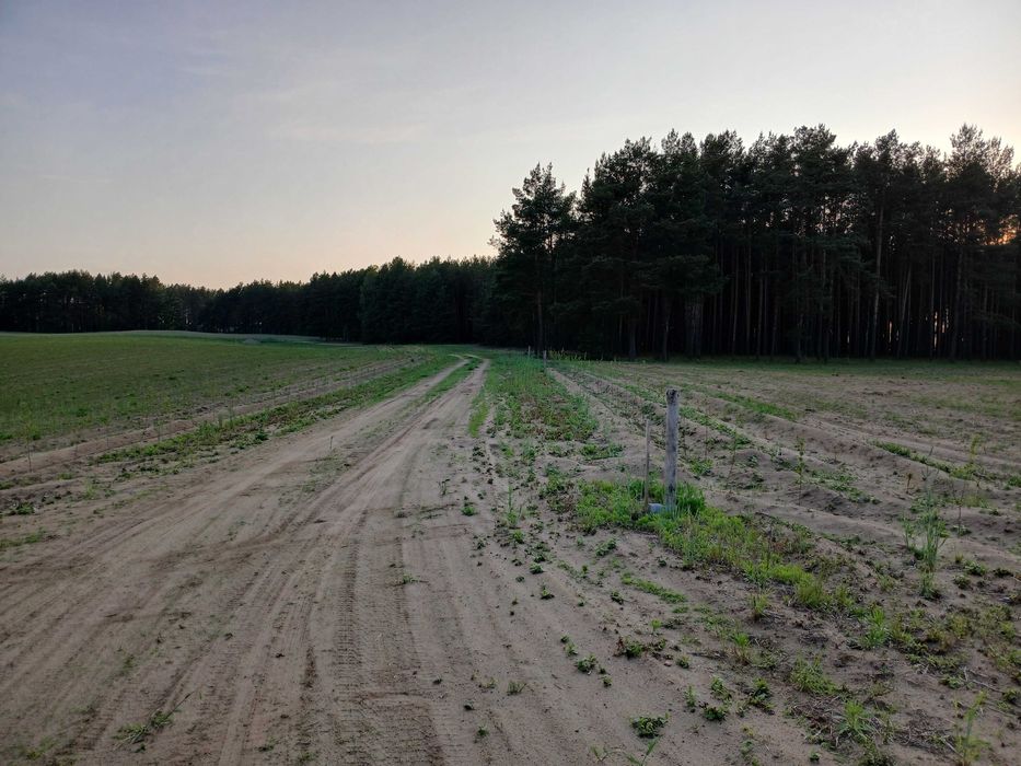 Działka  rolno budowlana 30km od miasta z lasem-zamiana
