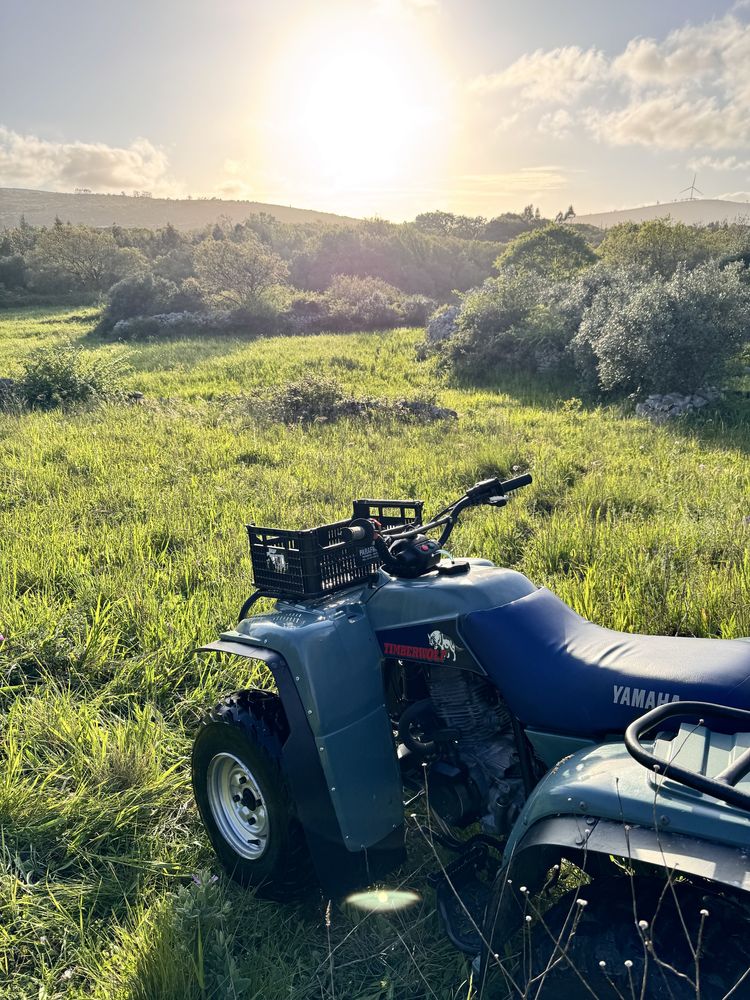 Yamaha TimberWolf