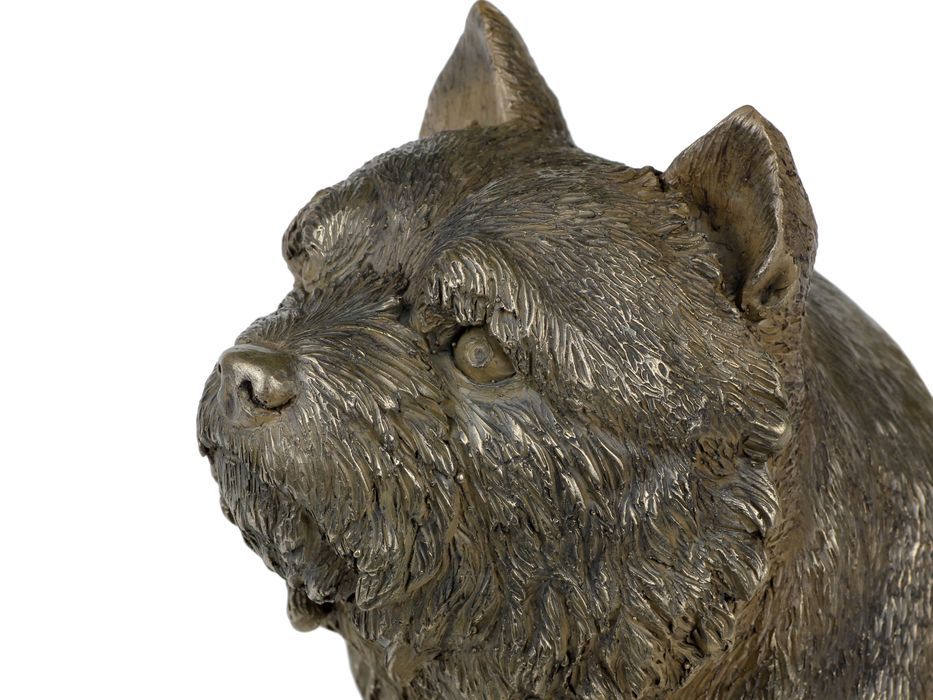 Norwich Terrier głowa na kamieniu Art-Dog