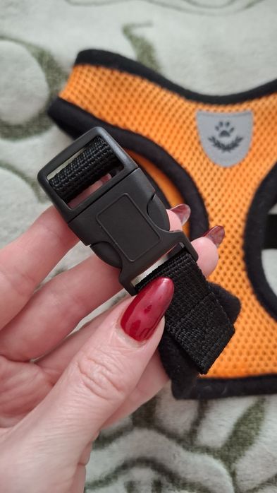 Шлея, жилет, поводок для собак