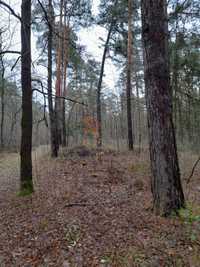 Działka budowlana w Kwiatkowice-Las