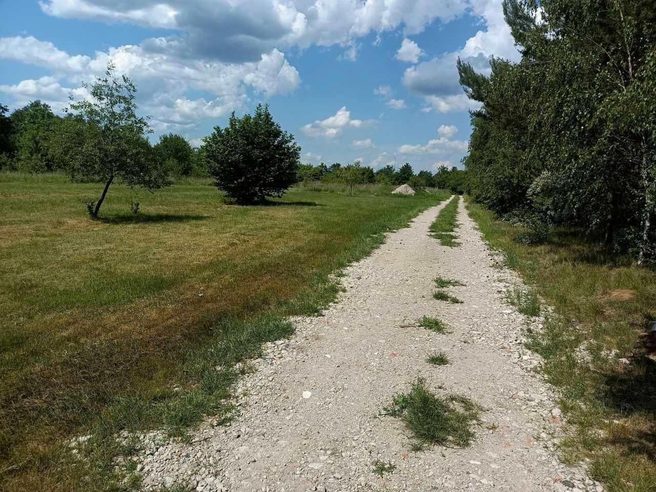 Działka Dąbrówka Wielka z Warunkami Zabudowy 1400m2 ul. Kasztanowa