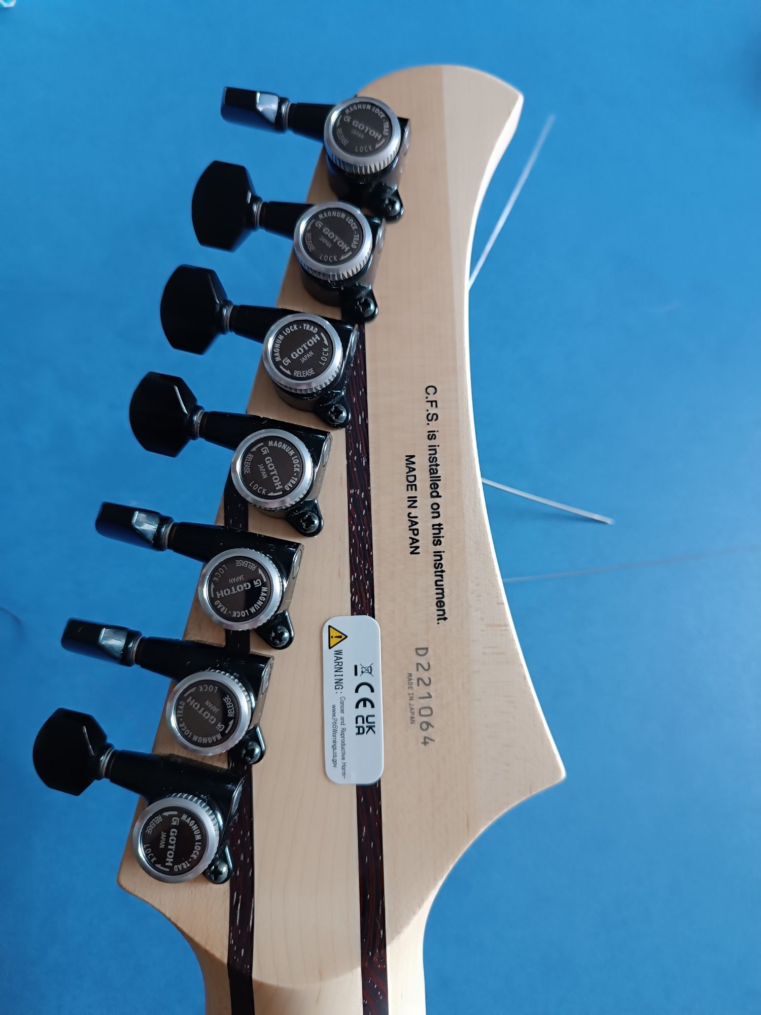 FGN mythic 7 string