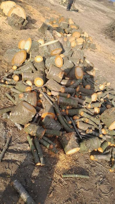 Продам дрова чурки черешня