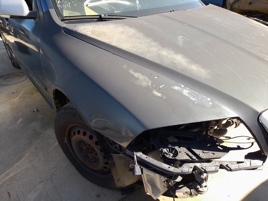 Guarda-lamas direito SKODA Octavia II Break (1Z5)