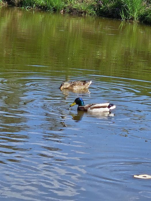 Noclegi dla firm. Domki .Faktura VAT.