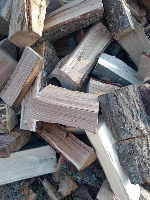 Дрова колоті рубані різні породи дуб/ ясень низькі ціни