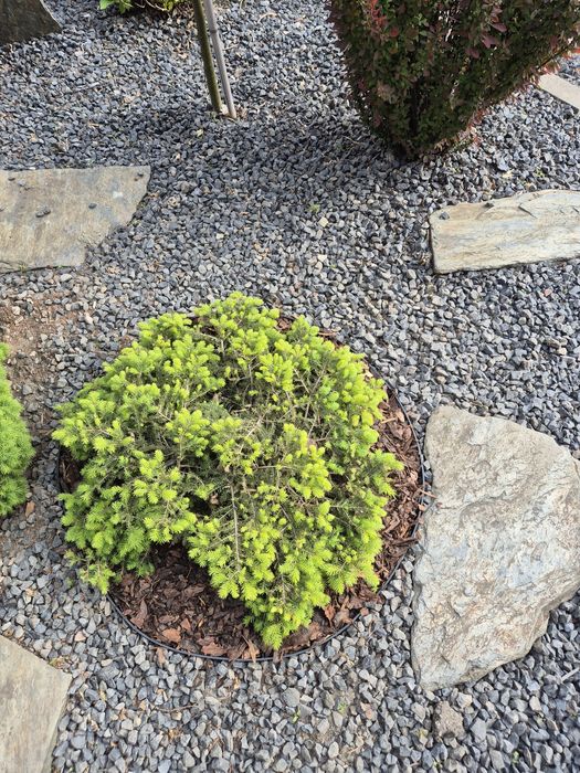 Automatyczne Nawodnienia. Projek, montaż, ogrodnik