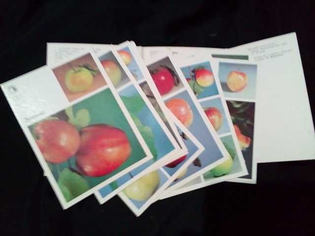Срочно продаю набор открыток СССР Советы садоводам яблони