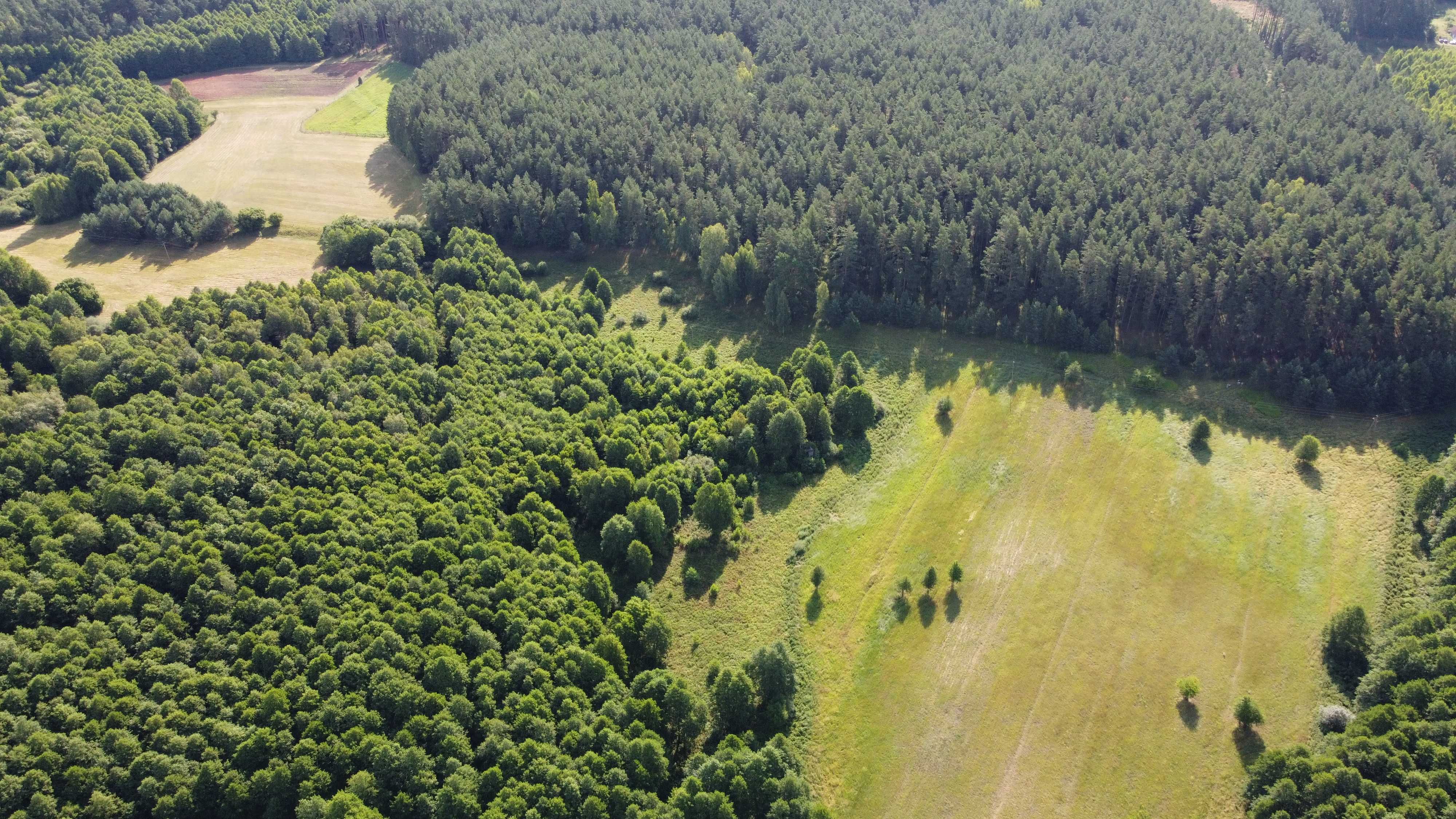 Działka w m. Likusy, 300m od linii brzegowej jeziora, Mazury.